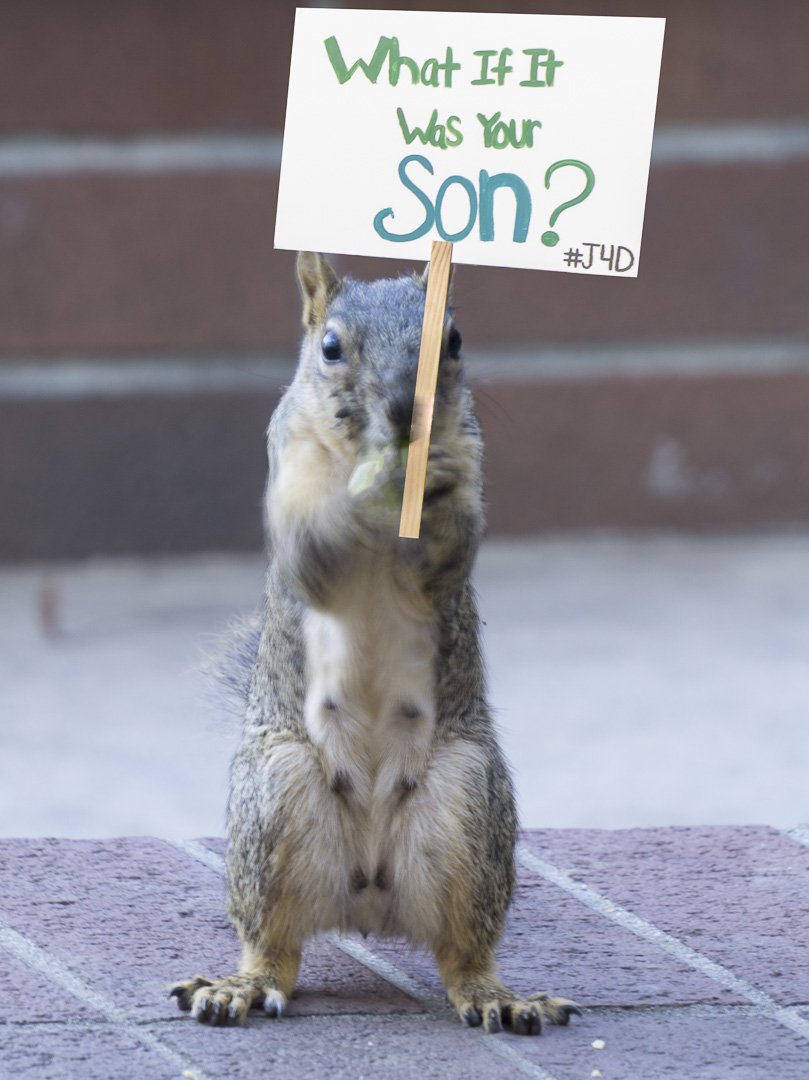 J4D559's tweet image. #justice4dylan ........ fighting for Justice....