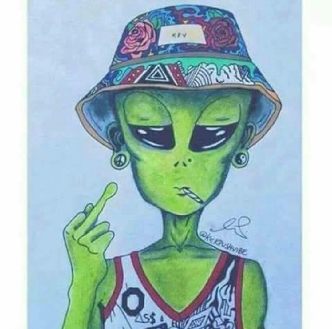 noclosedminds33's tweet image. #alienflow