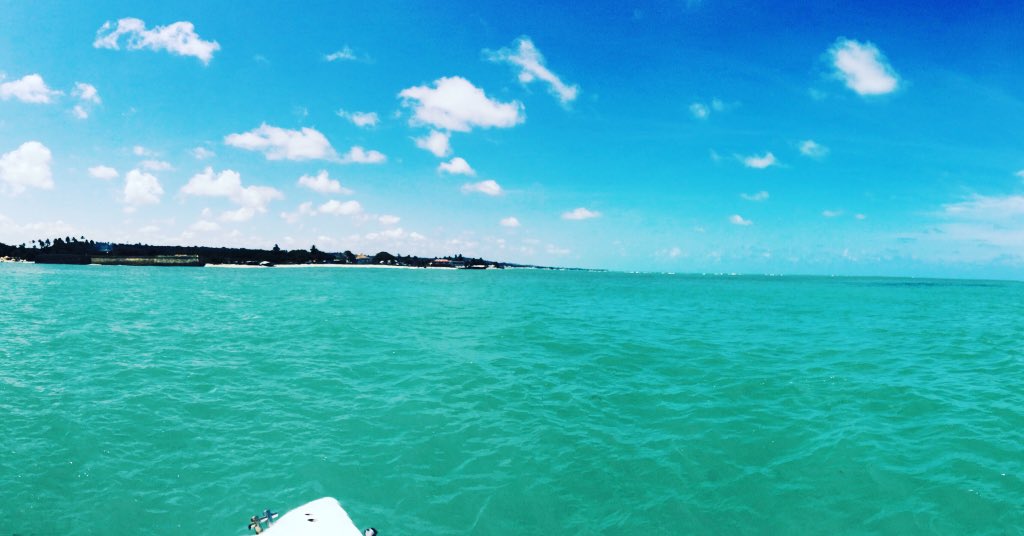 samoglia's tweet photo. Nunca foi um obstáculo, sempre foi o caminho 🚧🏃🏻🚤 #melhorfase #tonocomando https://t.co/TXua1E5HAG