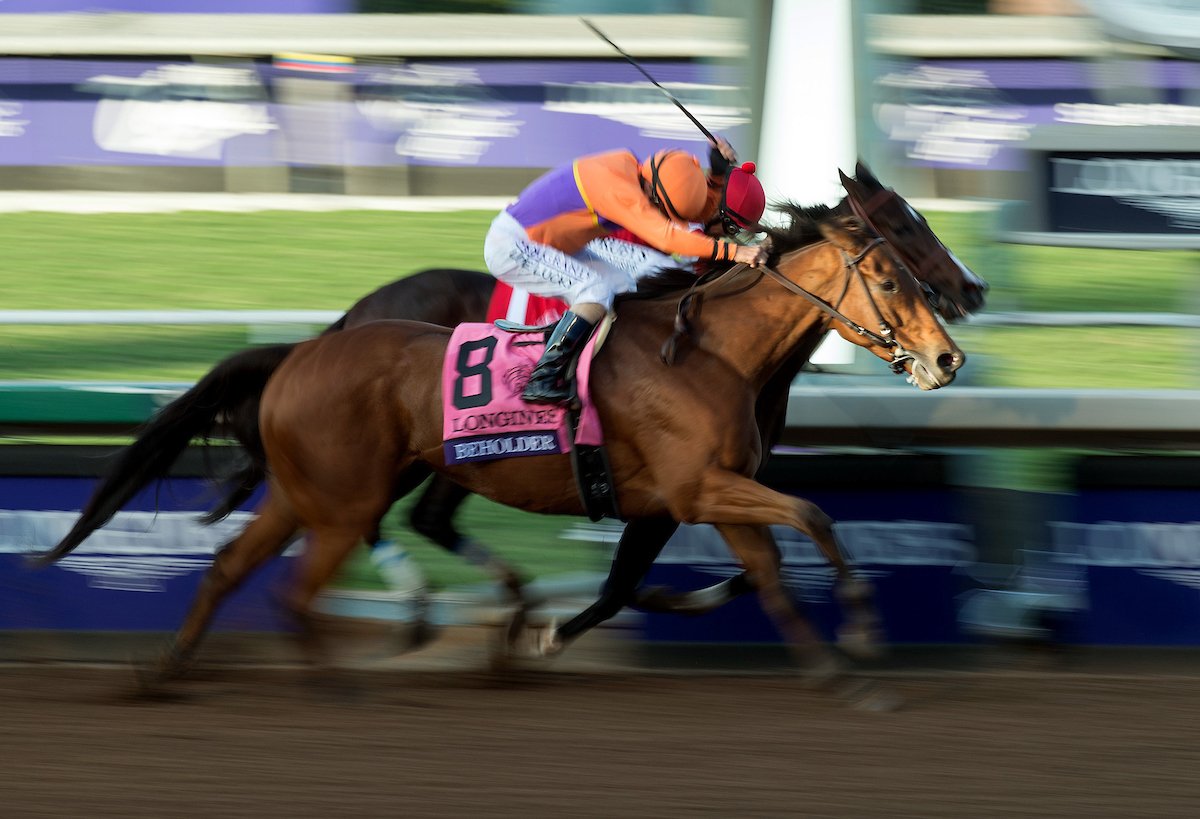 wall_figalo's tweet image. @BreedersCup Asi fue el final "head to head" de la #BCDistaff, con BEHOLDER con leve ventaja sobre SONGBIRD