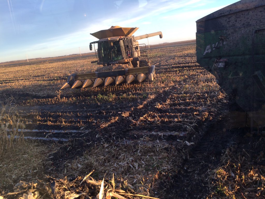 Mb. Corn harvest sure gets you wet hey Mother Nature? #🖕🏼off #mbcornharvest #harvest16 <a href="/FarmerSexts/">Farmer Sexts</a>