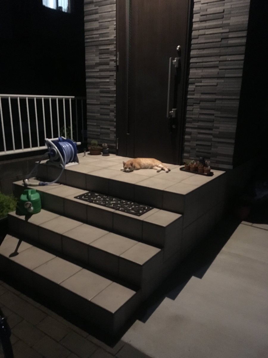 おっ、お前だれやねん（−＿−；）