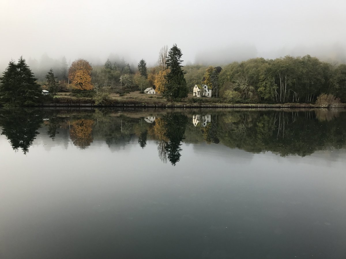 mtomas's tweet image. McNeil island