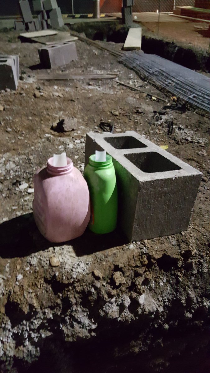 found_jellyfish's tweet photo. I see you cosmo and wanda, trying to act all sneaky https://t.co/QvIayOHks0