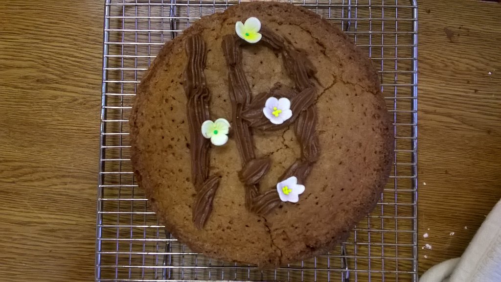 This was a special Birthday cake <a href="/cookshopcork/">Brennans Cookshop</a> for one of the children at the camp.