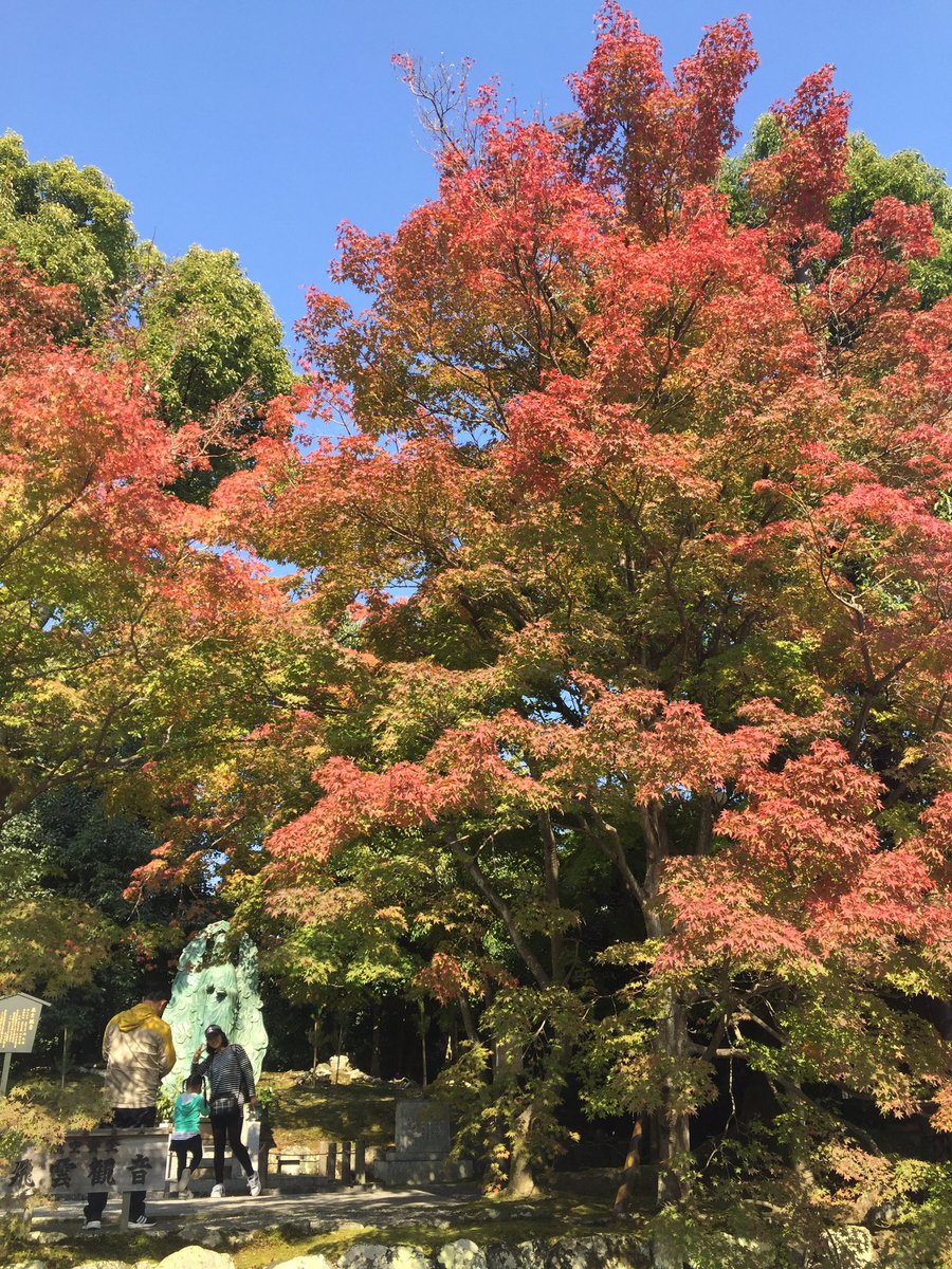 キチガイスマイル Twitter Search