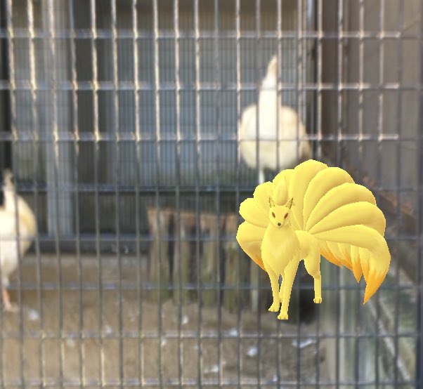 おみう 白孔雀とキュウコン レッサーパンダとヒトカゲ コンドルとヒトカゲ 動物園は面白いなぁ 動物 ポケモンの写真難しい ポケモンgo