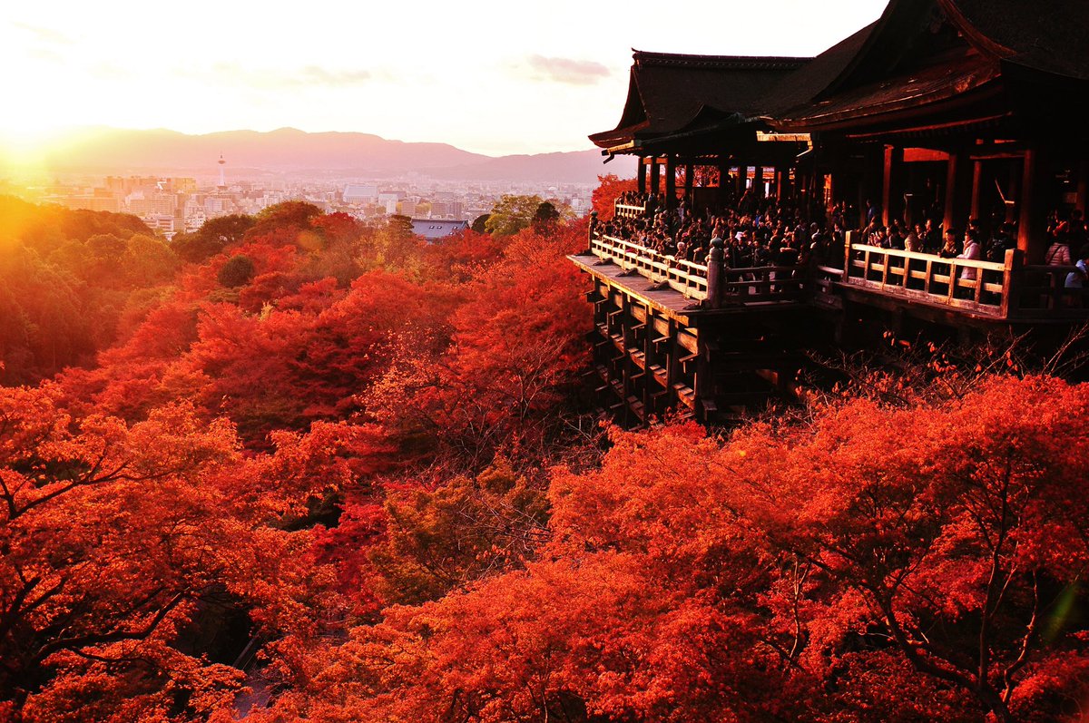 Please visit Kyoto it's very beautiful