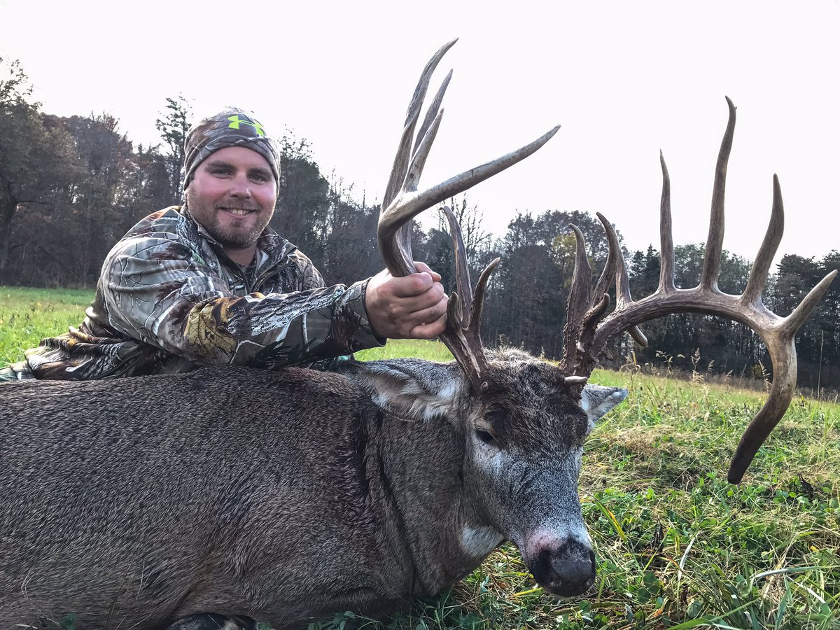 Matt Brewster tweet media