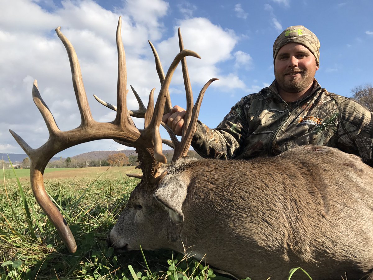 Matt Brewster tweet media