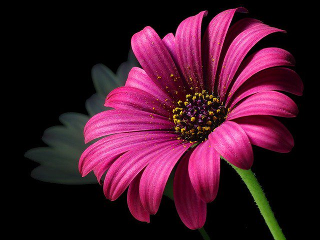FelipeA79770888's tweet photo. @marinena2000 @212270Haruto @salvadorpano @reyortega20014 ♡♡♡🙌😚ABRAZOS A LA VIDA DE AMISTAD A TI Y CARIÑOS ♡♡♡ https://t.co/X4zAKQiy1B