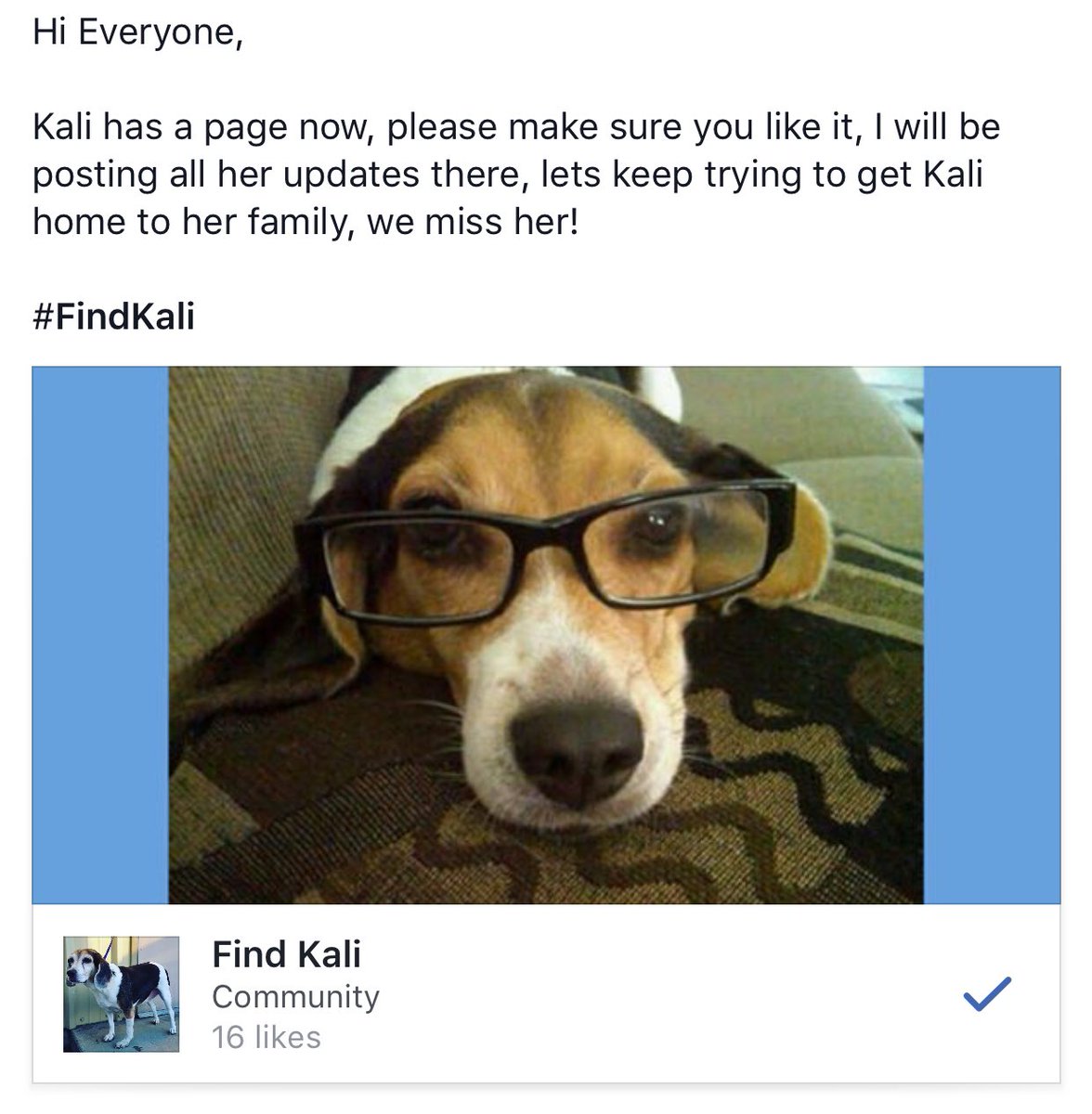 Teee_Ohhh's tweet photo. #FindKali 🐶 has an FB page! Like it for all new updates #LostBeagle #LostDog #Lynwood #LosAngeles please #retweet https://t.co/fVHFRmtEqj