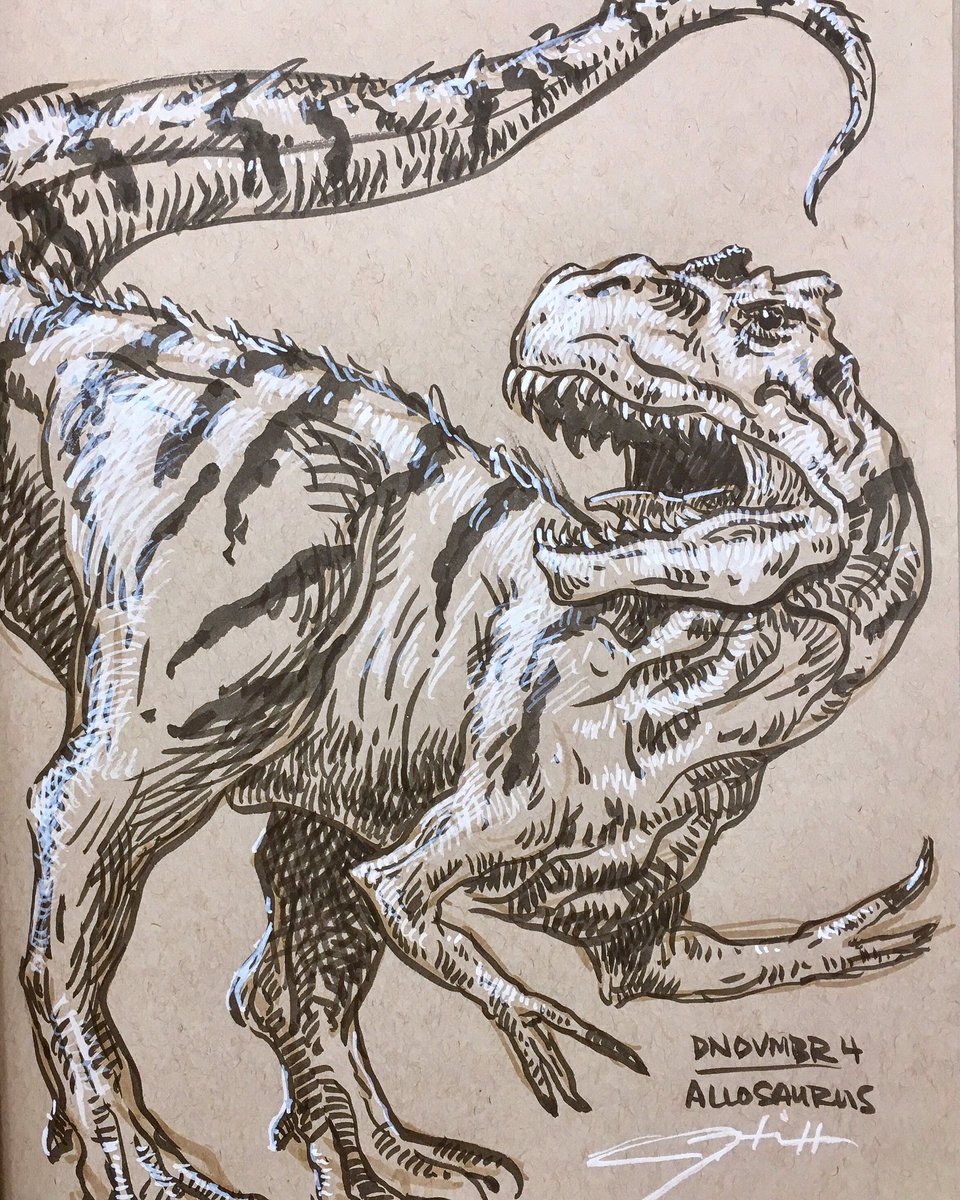 jedkimball's tweet photo. Allosaurus #dinoaday 4 #dinovember #allosaurus #theraposidae #meatasaurus #drawing #drawingoftheday #sketch #sketchbook https://t.co/IPDG3BJaN9