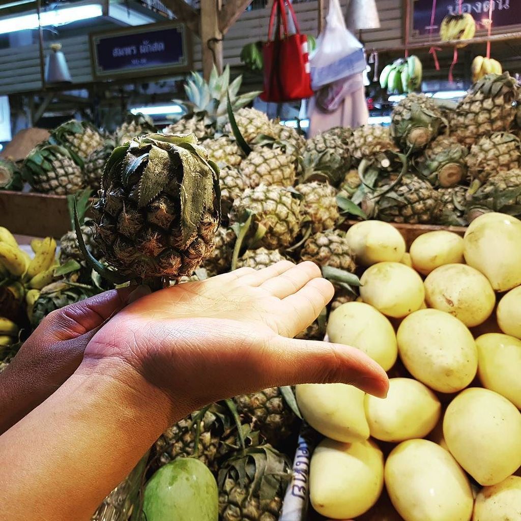 Myflashngo_Blog's tweet photo. #pineapple ♡
#Phuket
#wetmarket
#travelblogger
#breakfast
#penangblogger
#brotrip
#insta… https://t.co/QLov5wcN7u https://t.co/BuDmHcVlT2