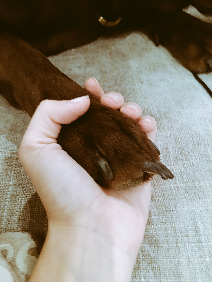 Sarah Hyland tweet media