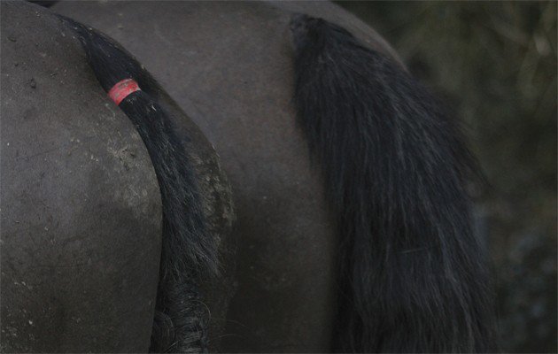 TheFieldmag's tweet photo. The 7 deadly #hunting sins. Commit at your peril https://t.co/NtPEVYCkjX https://t.co/eOurHHTHsp