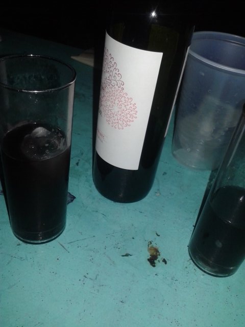 memeloacosta's tweet photo. #ElVinoUne @patriolguin22 #LaCoplaBar #peña https://t.co/tZf3W7qYuL