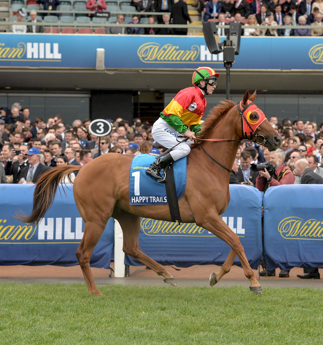 Racing's tweet photo. Happy retirement, @HappyTrails_Roy. 

Sale price: $11,000 
Earnings: $3,292,650
Starts at G1 level: 35 https://t.co/MVOXxhL3b7