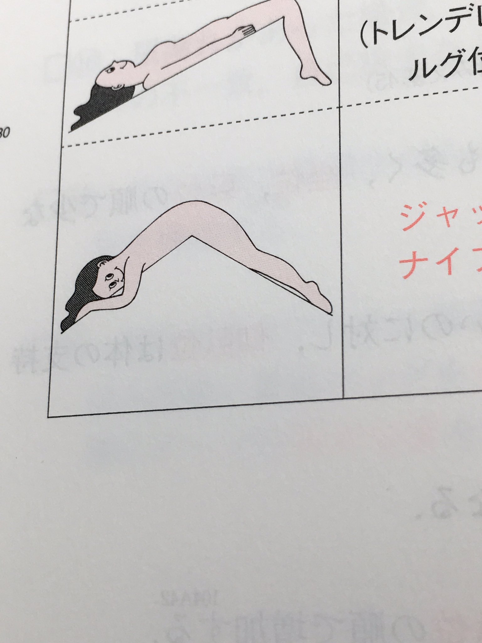 しようた On Twitter 誰かに見られてるな って思ってたらお前かいwwwwww