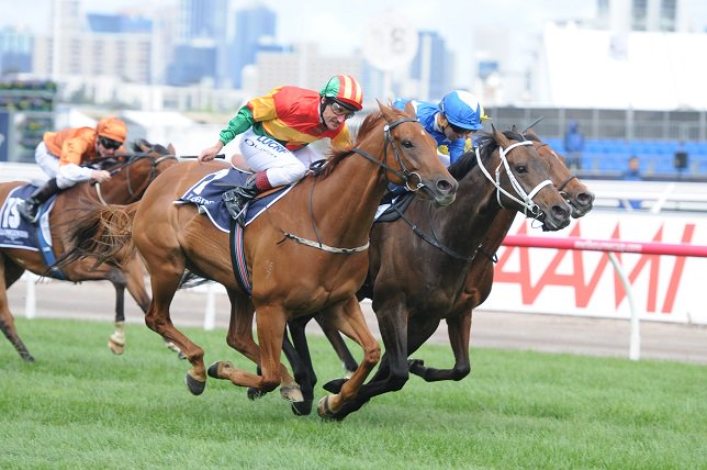 BradJGray's tweet photo. Happy retirement to the old warrior Happy Trails. Am going to miss Paul Beshara's interviews about him #bullish https://t.co/RbCeVYhVpg