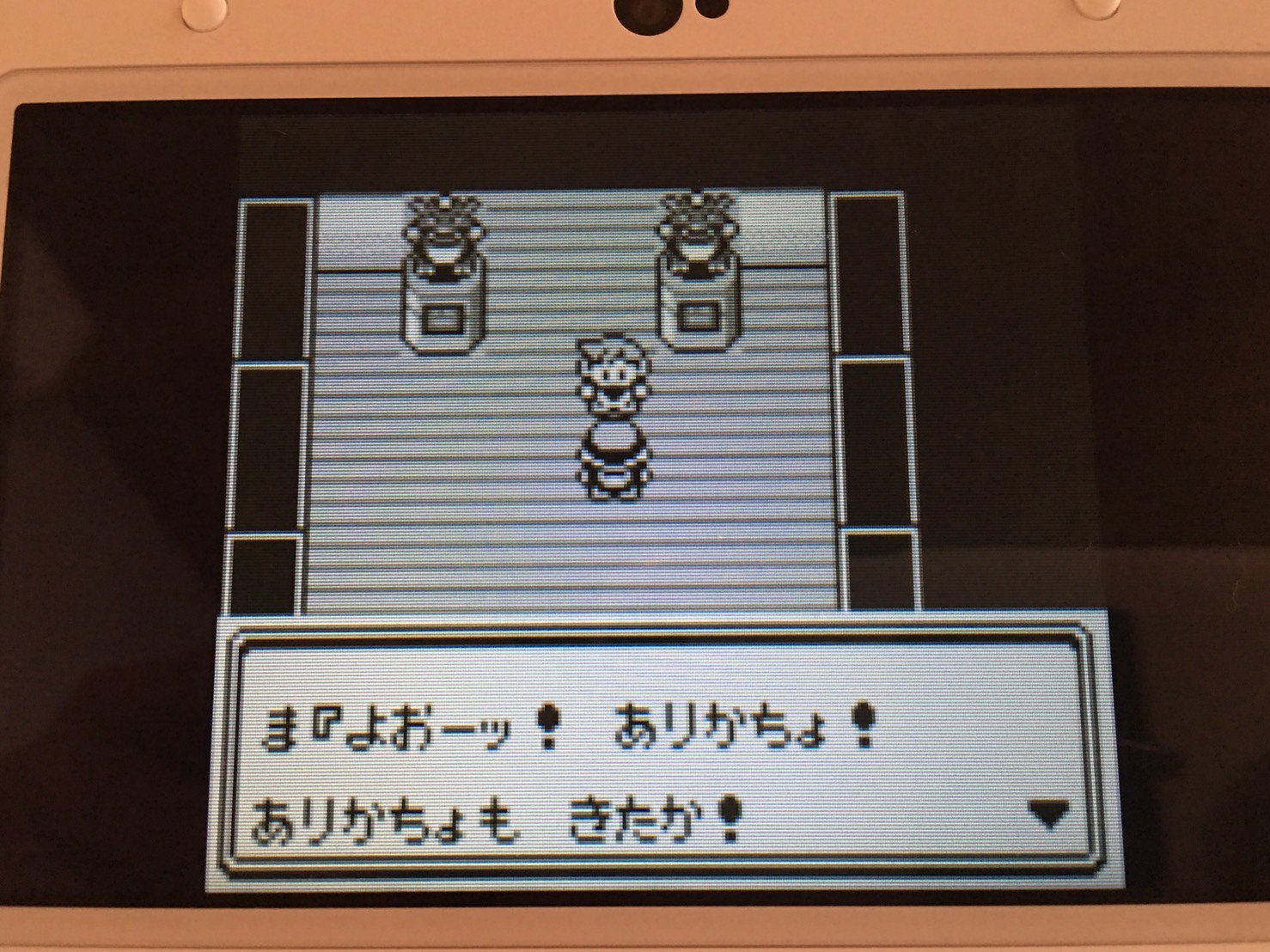 ありかちょポケモン図鑑 Arikachopokemon Twitter