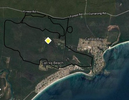 PaulKadak's tweet photo. #Bushfire latest: #Emergency warning @ #Cessnock. Watch&Act @ #Callala Bay, #Campbelltown & #Balickera. @7NewsSydney https://t.co/94dkJyRU47