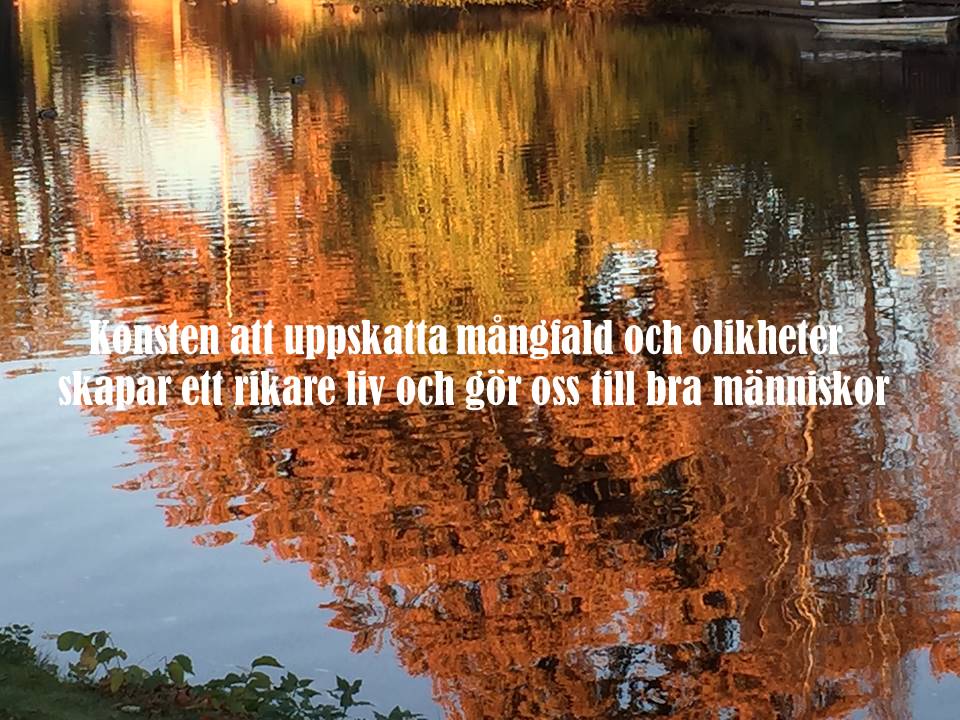 Konsten att uppskatta mångfald och olikheter skapar ett rikare liv och gör oss till bra människor