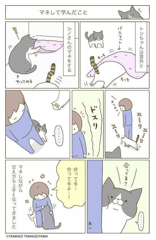 猫まんが。 