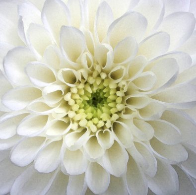 QuestionDeJour's tweet image. Why is it that this culture represents in a unique fashion the law of diminishing returns?