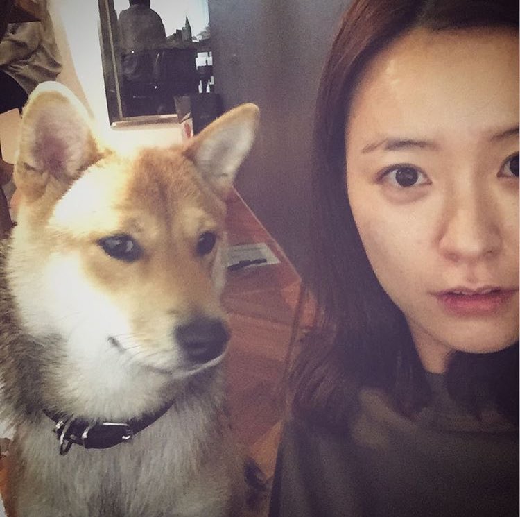 _jungyumibot's tweet photo. 친구가 기르는 개 탁구랑💁🐺 https://t.co/NNDuK91yMK