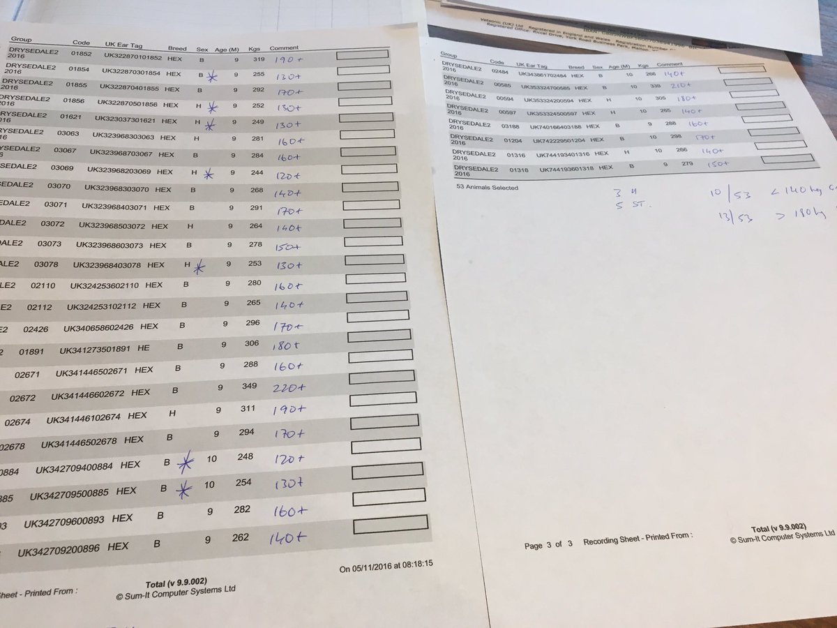 robdvet's tweet photo. Checking weight data @Steve_DeButcher #integratedbeef this batch av 1.2kg DLWG look good @trottersimon @simontappers https://t.co/obi78S9uBs