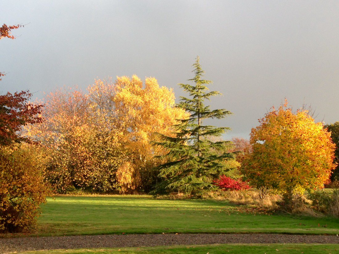 The Isle Estate tweet media