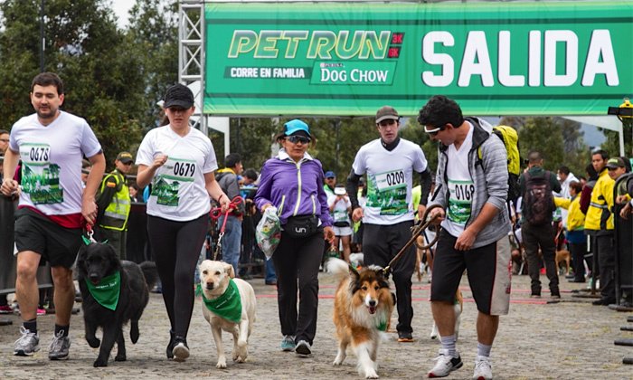 TuTicket_Co's tweet photo. El #20Nov no correrás solo, correrás con tu mascota en @petruncolombia  en Parque el ingenio. Tickets aquí https://t.co/CdEwud0fFI https://t.co/CdSVu8fxGJ