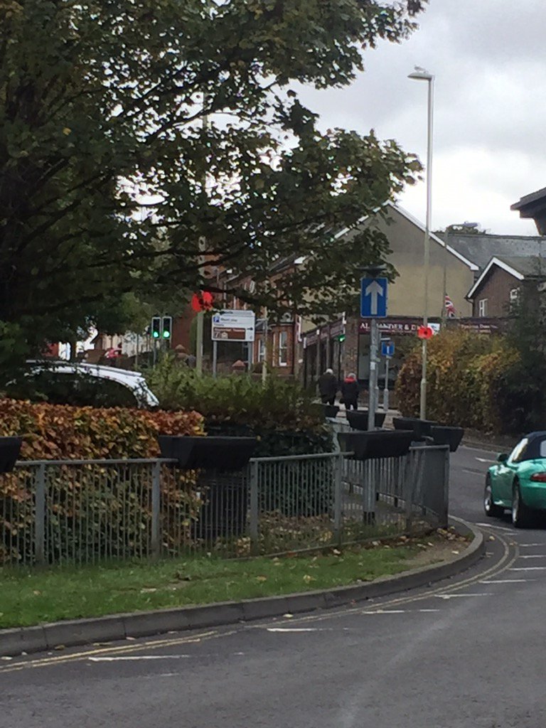 laurarussell83's tweet photo. Nice touch to see #poppies on the lampposts around #Basingstoke @BasingstokeGov #RememberThem https://t.co/sNHvlmsY6Q
