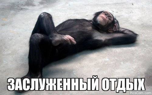 picscomment tweet picture