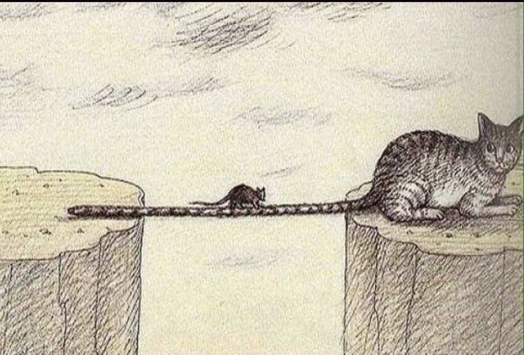 Her gördüğün yardım; iyilik değildir.