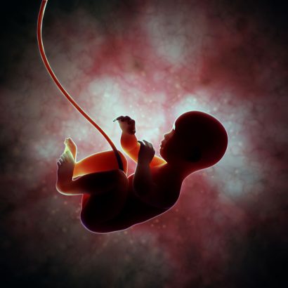 DrugTargetRev's tweet photo. #IVF: Easy as 1, 2…3? How to make 3-parent #babies https://t.co/6qRahK9KjG #HiddenFaces #NFAWUK @FertilityNUK RT https://t.co/DRlvVGO69F