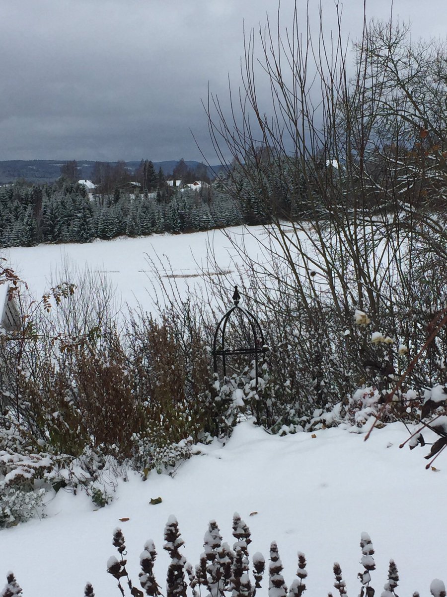 gartnerkenneth's tweet photo. No gardening today for sure! ❄️☃️😊 More snow is coming later 😬❄️ #Norway https://t.co/5SIqTcqh36