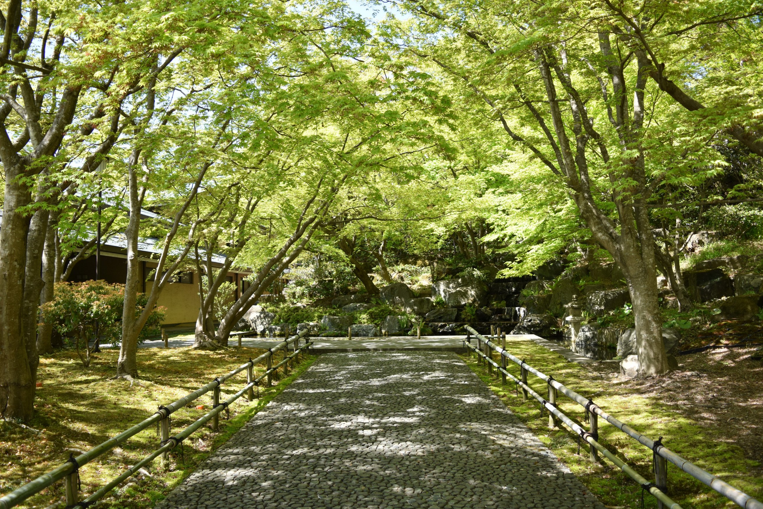 コスプレイベント コスメル 公式 12 3 大阪 紅葉 が楽しめる大チャンス コスメルin勝尾寺 次の開催は12月ですが 毎年紅葉はまだまだ残ってると勝尾寺スタッフさんからのお墨付き 美しい灯篭が並ぶ石畳やスモークが立つ橋など幻想的な会場