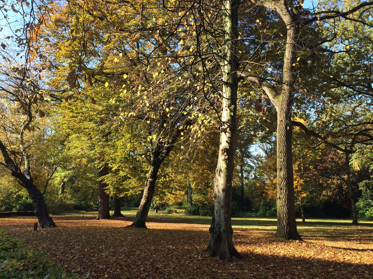 Met <a href="/LpgrJulianapark/">LoopgroepJulianapark</a> elke week een feest. #julianapark #utrecht