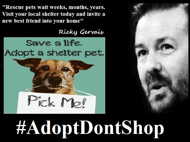 Protect_Wldlife's tweet photo. #ThoughtForTheDay from @RickyGervais ~ Do something REALLY good this weekend ~ #AdoptDontShop #WheresMum #PupAid https://t.co/HPlZj2NfVA
