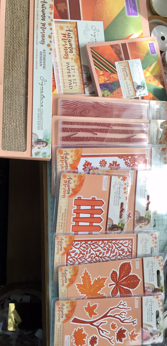 CatsthatCraft's tweet photo. Day 5 of @CraftersCompUK challenge is your fave Sara Signature collection. Hmm... Autumn Morning for me I think 😊#ccnovcraftchallenge https://t.co/6UdTrIqzXE