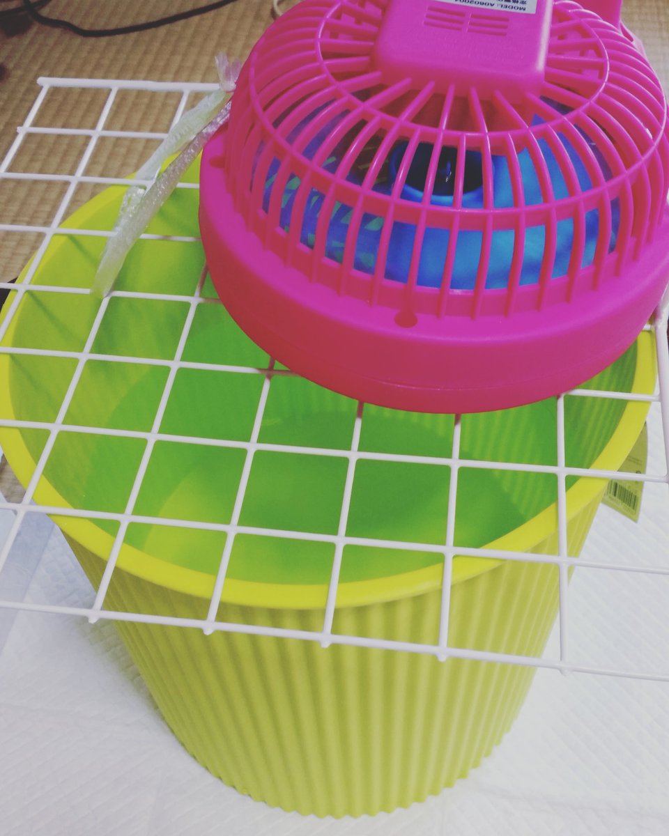 ぺーさん333 もう稼働して数時間 普通の換気扇が回る台所をトイレ行くのに通過するだけで鼻の奥から鼻水が湧くのを感じる ๑ D ๑ 水式稼働で締め切ってる寝室はまるで滝の側にいるみたい 鼻水 目の痒み ないない 早くやるんだった 泣 水式空気