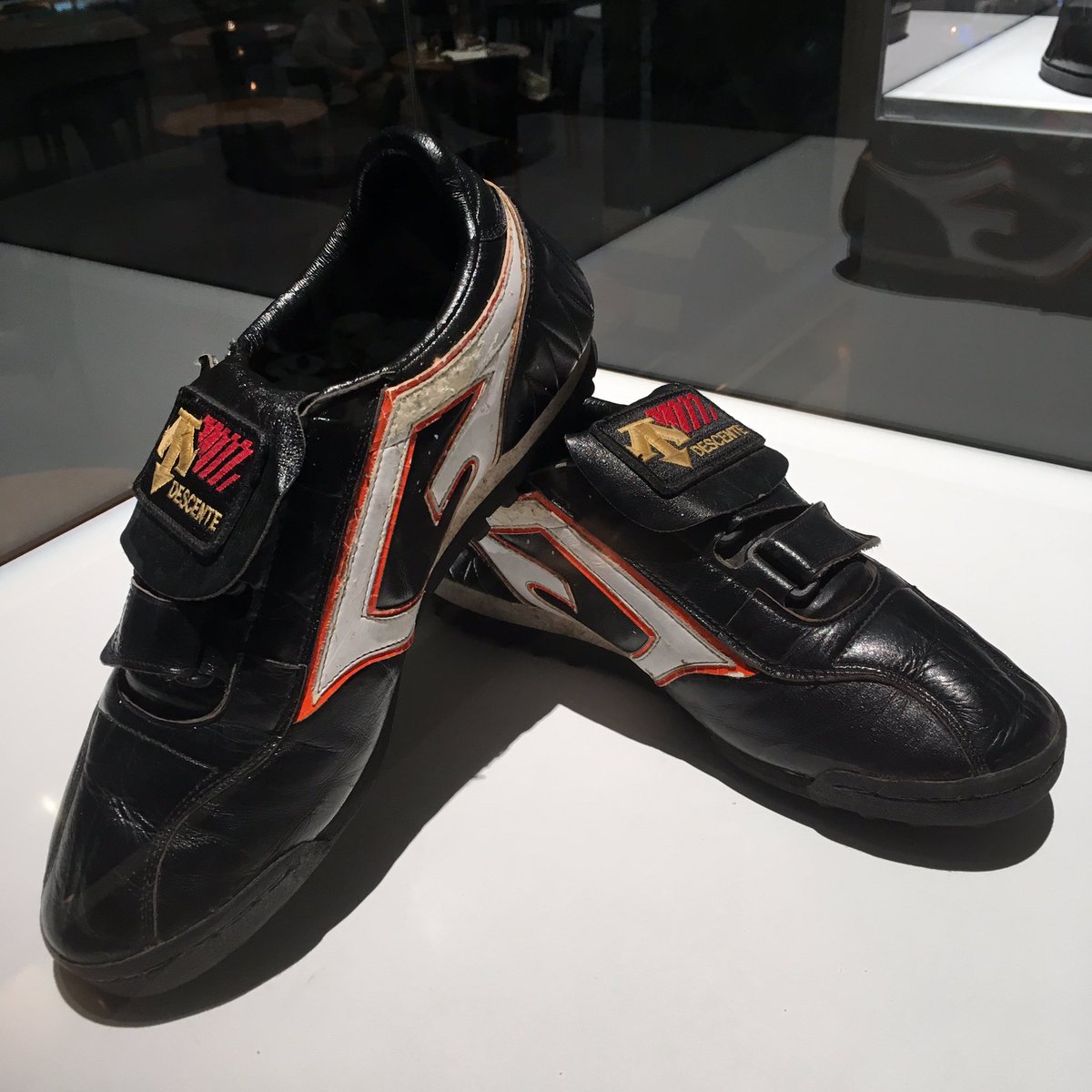 ワンちゃんのファーストミット/チョーさんのトレーニングシューズ