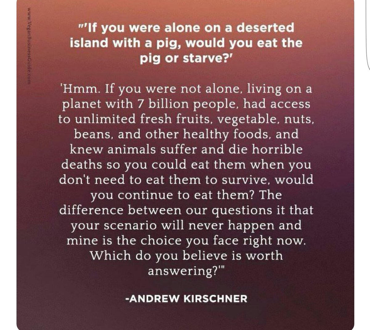 _bbradleyy's tweet photo. "Would you eat the pig or starve" https://t.co/ZOSYwx1LN6
