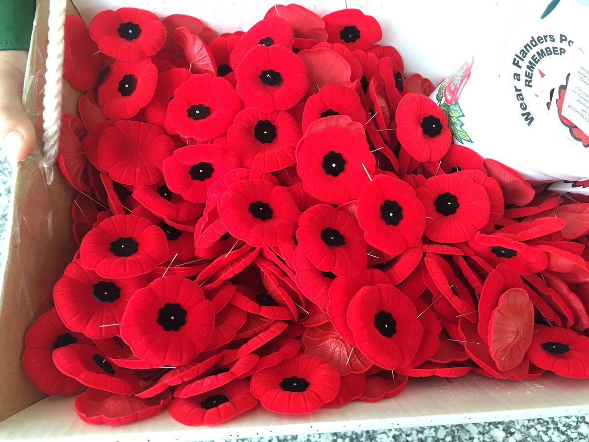 TimInCalgary's tweet photo. Annual poppy drive at YYC with the 239 Scouts. #yyc #scouts #calgary #scoutscanada https://t.co/ucC6g5Xayg