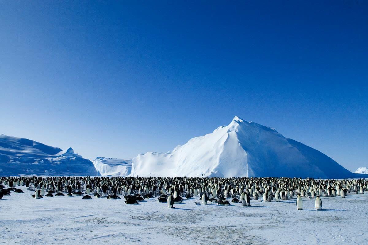 We are very excited for the premier of Planet Earth 2 - why not spend the weekend catching up on the original series with us? #planetearth2