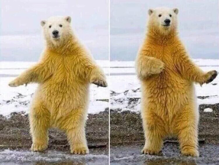 mamchunu's tweet photo. Mood went from one to the other in a matter of minutes... #PHAAAA! https://t.co/uCrMXuoj6o