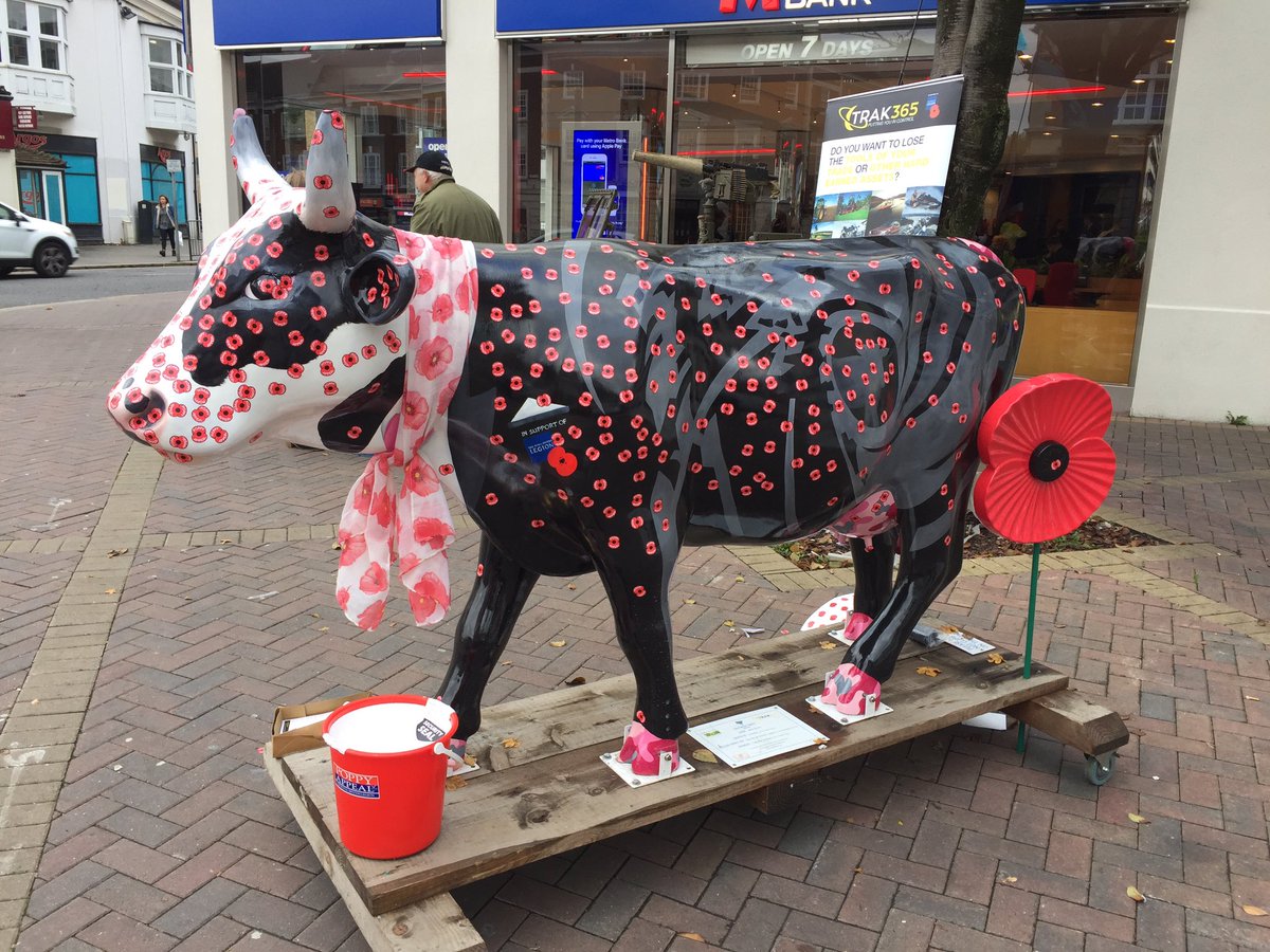 Jane Bond <a href="/Mooi5Agent/">Jane Bond</a> at #Epsom for Poppy Day. Come and put a sticker on her!