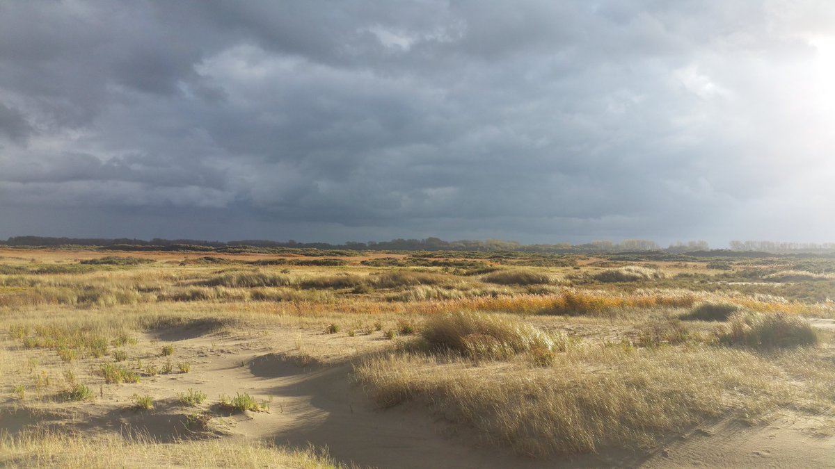 basnatuurlijk's tweet image. Dierbaar land. 
#Kwade Hoek.